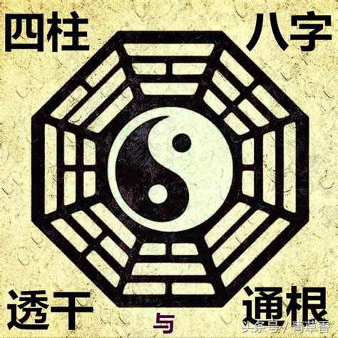 八字 根|四柱命理